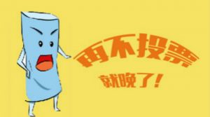 叮咚小包一个不错的微信投票赚钱平台!