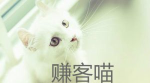 赚客喵:苹果手机试玩赚钱软件