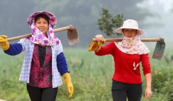 网上赚钱项目,农村妇女用一部手机,一个月赚了3000多元