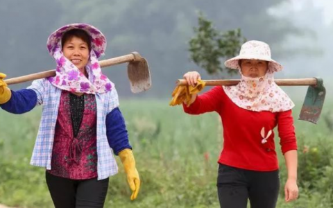 网上赚钱项目，农村妇女用一部手机，一个月赚了3000多元