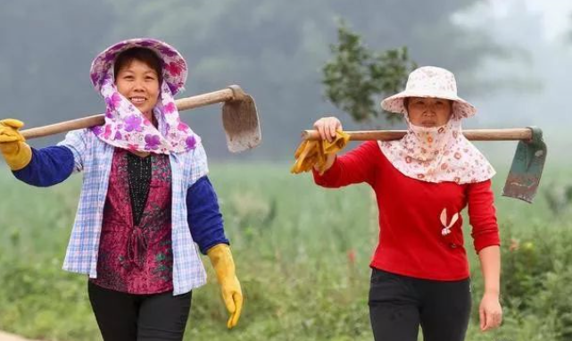 网上赚钱项目，农村妇女用一部手机，一个月赚了3000多元