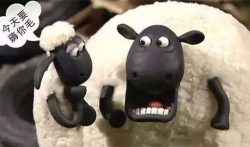 现在薅羊毛还能赚钱吗？哪些项目还可以薅羊毛