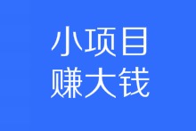你看不起的网赚项目，别人已赚数千元