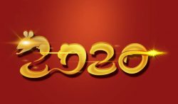 再见了  ,2019 !你好 , 2020