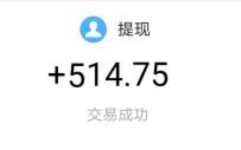 手机悬赏赚钱任务平台：悬赏猫赚友收款514元