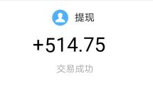 手机悬赏赚钱任务平台:悬赏猫赚友收款514元