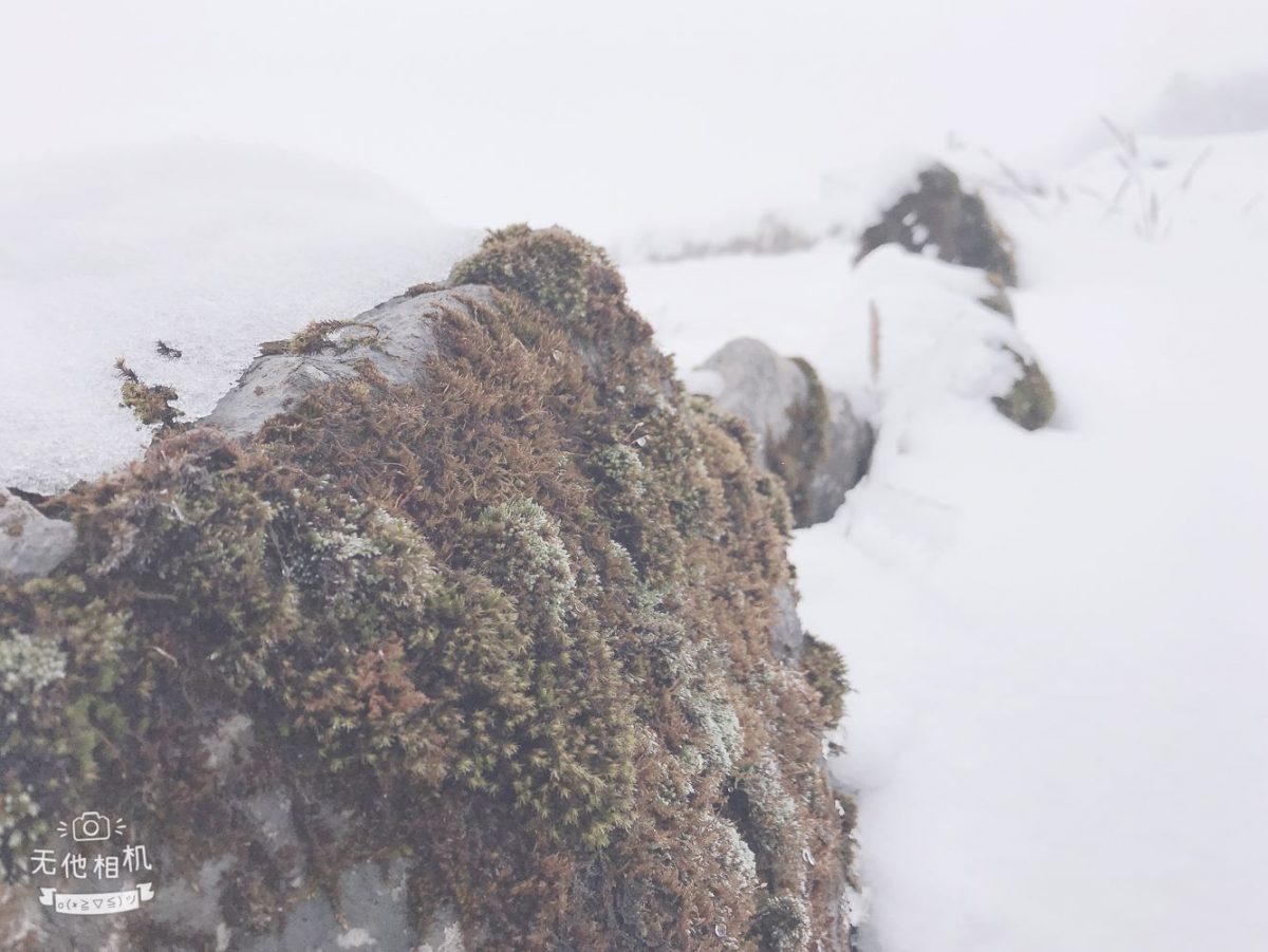 红池坝，打雪仗