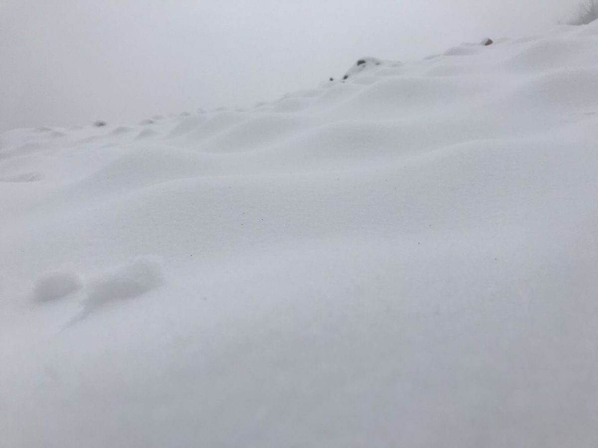 红池坝，打雪仗