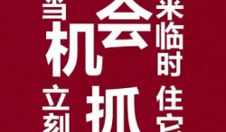 抓住每一次赚钱的机会,任务,试玩,投票有你喜欢的吗
