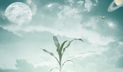 用手机兼职一天挣300-500的方法分享