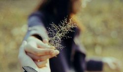 没本钱怎么在手机一天赚500，先完成一天赚100小目标