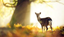 2021想兼职赚钱做什么项目?一单一结挣钱方法推荐