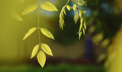 如何用手机挣钱?一部手机一天挣100元的方法推荐