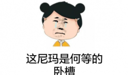 网赚项目：表情包流量变现实操指南