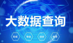 逾期记录查询，网贷大数据风险报告查询