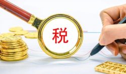 什么是企业税贷，如何办理企业税贷？