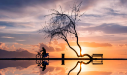 排名第一的赚钱app,赚钱又快又多的软件有哪些