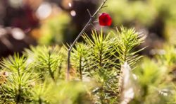 投资30元一小时赚600 ? 如果是真的就不会公布出来了