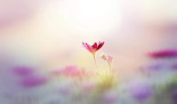 微信加人推码35一单，不怕封号你就做