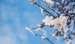 推荐3个比较自由的副业工作，不再光靠死工资