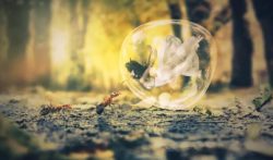 手机不投资赚钱的软件, 做任务玩玩游戏就能赚钱app推荐!