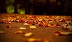 比众人帮还赚钱的软件，类似众人帮的赚钱软件