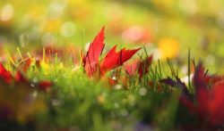 手工活兼职不收押金免费供货，你还信以为真吗？