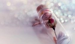 男人晚上8点半到12点副业，适合男的下班后的副业