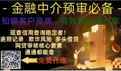 如何做现查大数据信用报告代理，现查大数据查询一次多少钱？