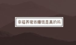幸福养猪场赚钱是真的吗？答；真的，但是。。。。