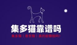 集多猫靠谱吗，集多猫（悬赏猫）真的能赚钱吗？