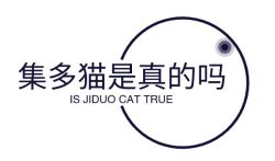 集多猫最新版下载，集多猫是真的吗？