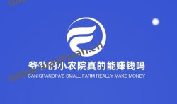爷爷的小农院真的能赚钱吗？追忆实测只能赚3毛5毛！