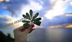 为了生活，为了赚钱。