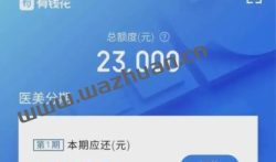 不审核直接放款1000款可以吗？还不自己做任务挣1000靠谱。
