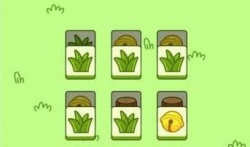 羊了个羊攻略怎么玩,羊了个羊第一关图文通关攻略。