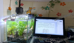 非常方便的赚钱方法,人人都能做到利用手机在家一天赚100以上。