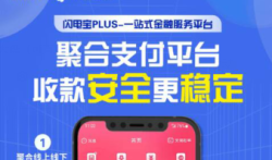 闪电宝plus，汇付天下支付公司直营手机POS