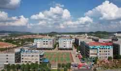 2023年南宁市城市管理职业技术学校对口公办大专(高职)升学班招生计划
