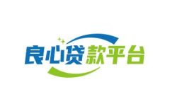 十大良心贷款平台，借款平台哪个正规利息低