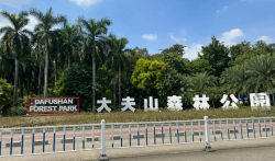 广州,东莞有什么好玩好吃的
