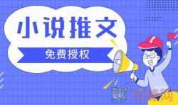 抖音推小说怎么挣钱,怎么做小说推广挣钱