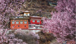 去一趟西藏要多少钱，我想去西藏看看