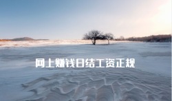 网上赚钱日结工资正规,手机做任务每天挣100元方法