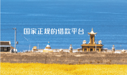 国家正规的借款平台，盘点三款正规网贷平台