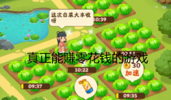 真正能赚零花钱的游戏,2024真正能赚零花钱的游戏合集