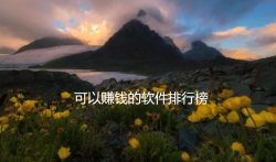 可以赚钱的软件排行榜，合适新手的有哪些？