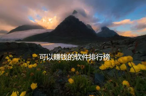 可以赚钱的软件排行榜,合适新手的有哪些?