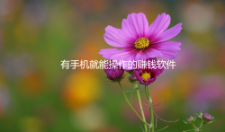 有手机就能操作的赚钱软件，1元2元5元反复提现的游戏